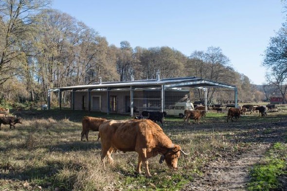 REIA27_07_Intemperie